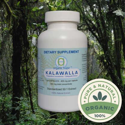 Kalawalla (Calaguala) with Polypodium Leucotomos - 400mg (120 Caps)